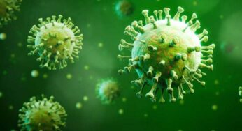 Virus Chandipura di India Gejala Mematikan yang Perlu Diketahui